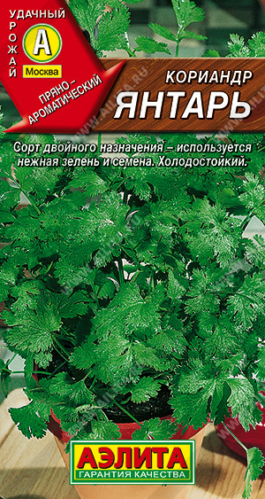 Кориандр Янтарь Лидер А