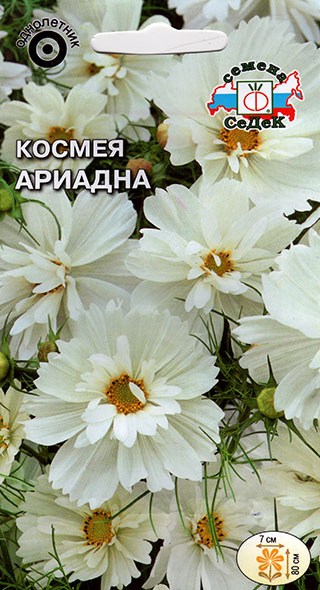 Космея Ариадна Ц С