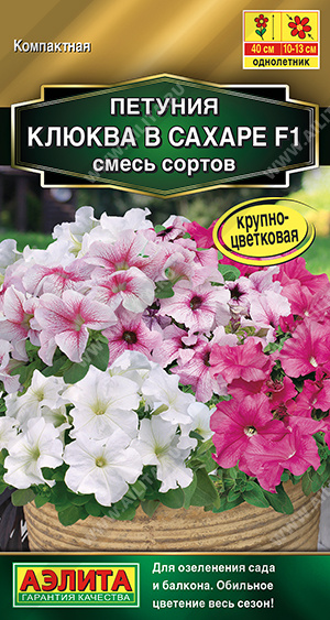 Петуния Клюква в сахаре Ц А