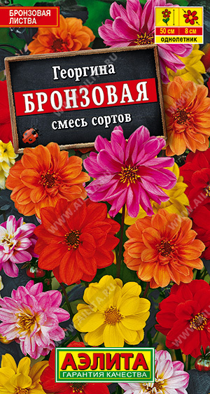 Георгина Бронзовая смесь окрасок Ц А