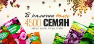 Поступление семян 2021