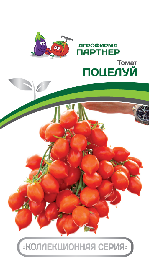 Томат Поцелуй  Партнер