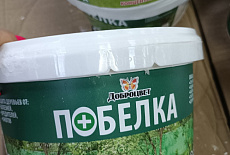 Уход за садовыми деревьями и кустарниками включает в себя покраску их стволов