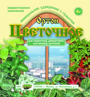 1С800018487