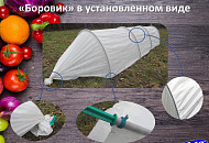 Парник "БОРОВИК"
