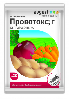 1С800021831