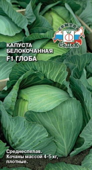 6259306081