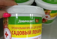 Уход за садовыми деревьями и кустарниками включает в себя покраску их стволов
