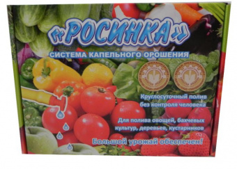 1С800024389