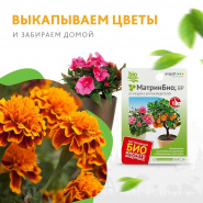 Многие цветы можно забрать домой, чтобы продолжать наслаждаться ими на подоконнике