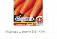 серия "Кольчуга"