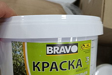 Уход за садовыми деревьями и кустарниками включает в себя покраску их стволов