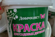 Уход за садовыми деревьями и кустарниками включает в себя покраску их стволов