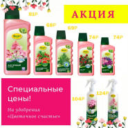 Акция на Цветочное счастье