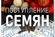 Поступление семян